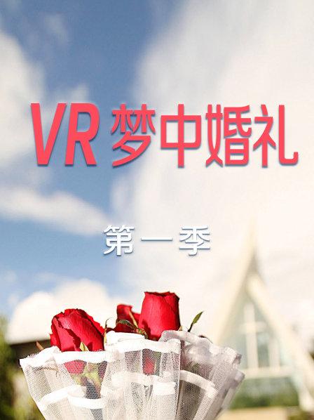 VR梦中婚礼第一季封面图