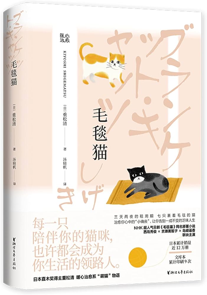 毛毯猫封面图