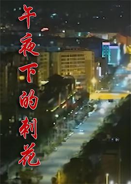 午夜下的刺花封面图