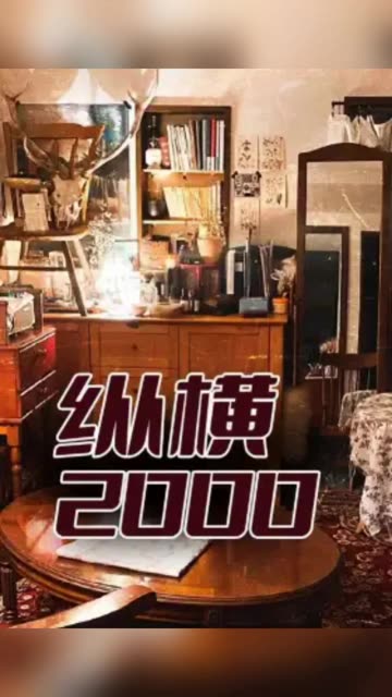 纵横2000高清海报