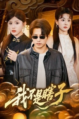 我不是瞎子封面图