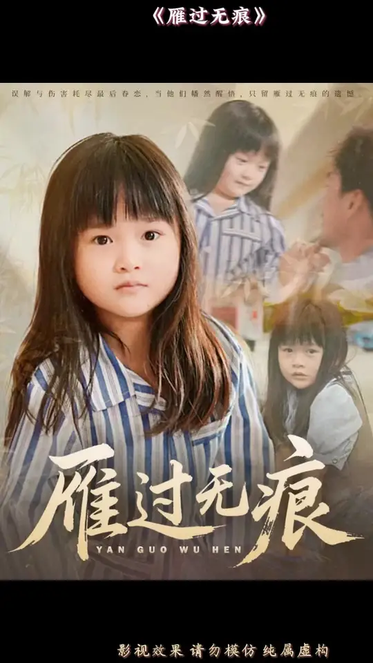 雁过无痕封面图