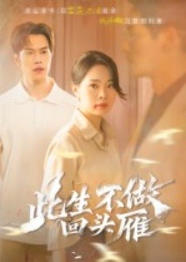 此生不做回头雁封面图
