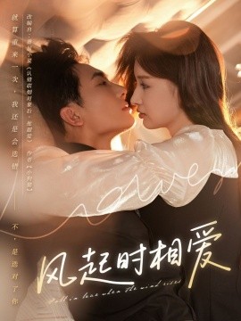 风起时相爱封面图