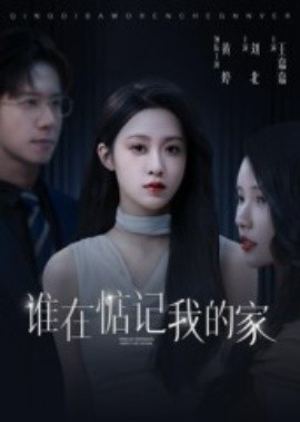 谁在惦记我的家封面图