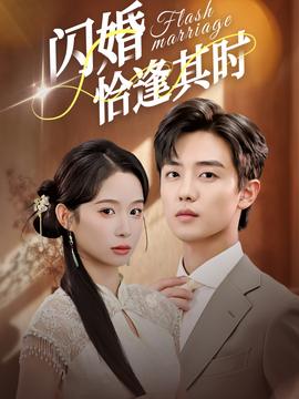 闪婚恰逢其时封面图