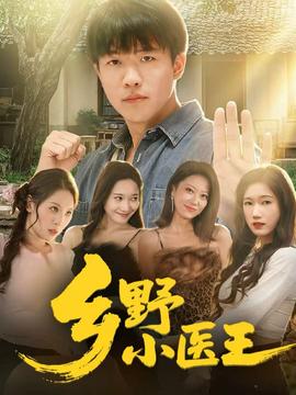 乡野小医王封面图