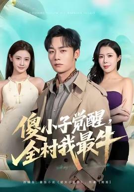 傻小子觉醒，全村我最牛封面图