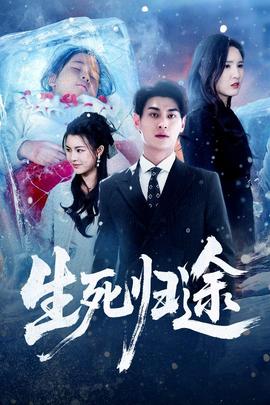 生死归途封面图