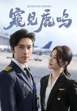 窥见鹿鸣封面图