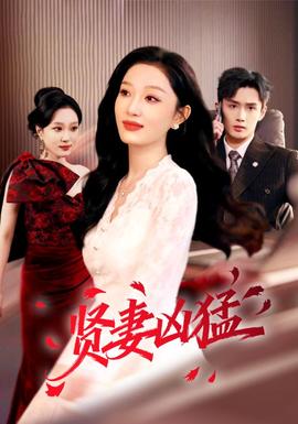 贤妻凶猛封面图