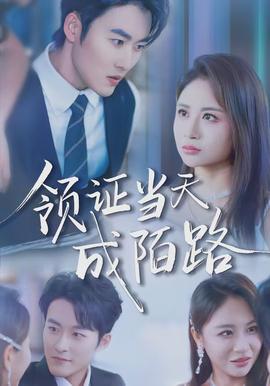 领证当天成陌路封面图
