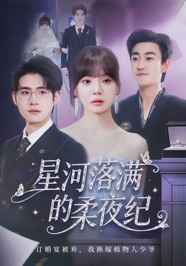 星河落满的柔夜纪封面图