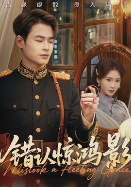 错认惊鸿影封面图