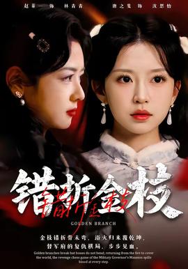 错折金枝封面图