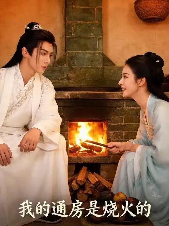 我的通房是烧火的