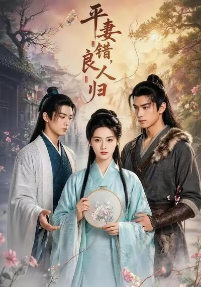 平妻错,良人归