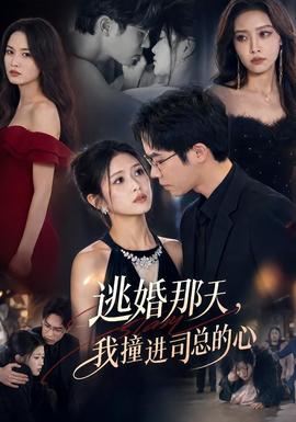 逃婚那天我撞进司总的心