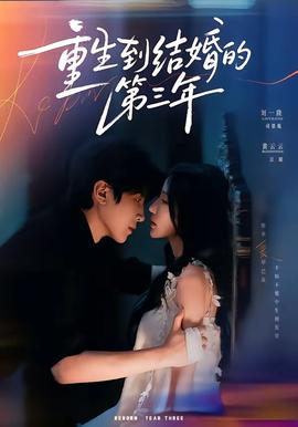 重生到结婚的第三年