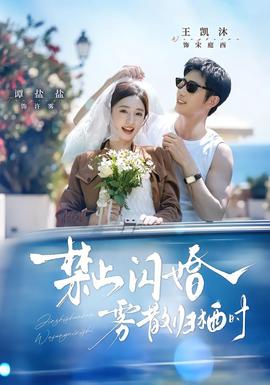 禁止闪婚，雾散归栖时