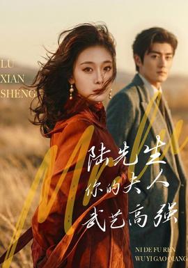 陆先生，你的夫人武艺高强