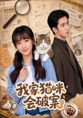 我家猫咪会破案