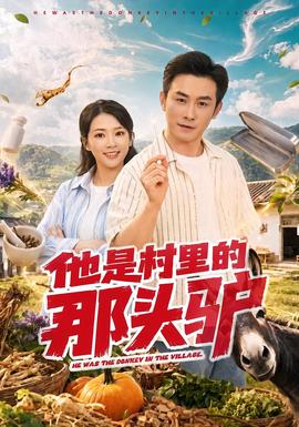他是村里的那头驴封面图