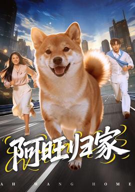 阿旺归家